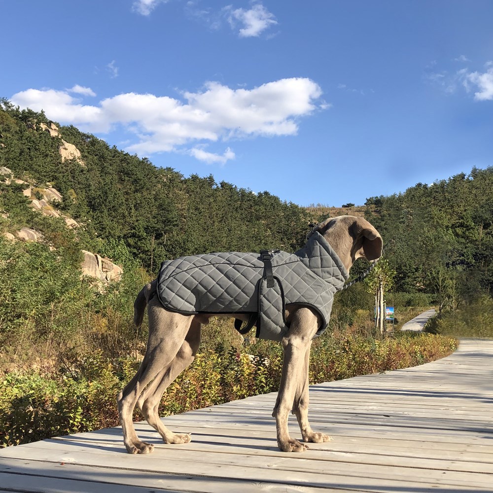 Reflective Trail Vest